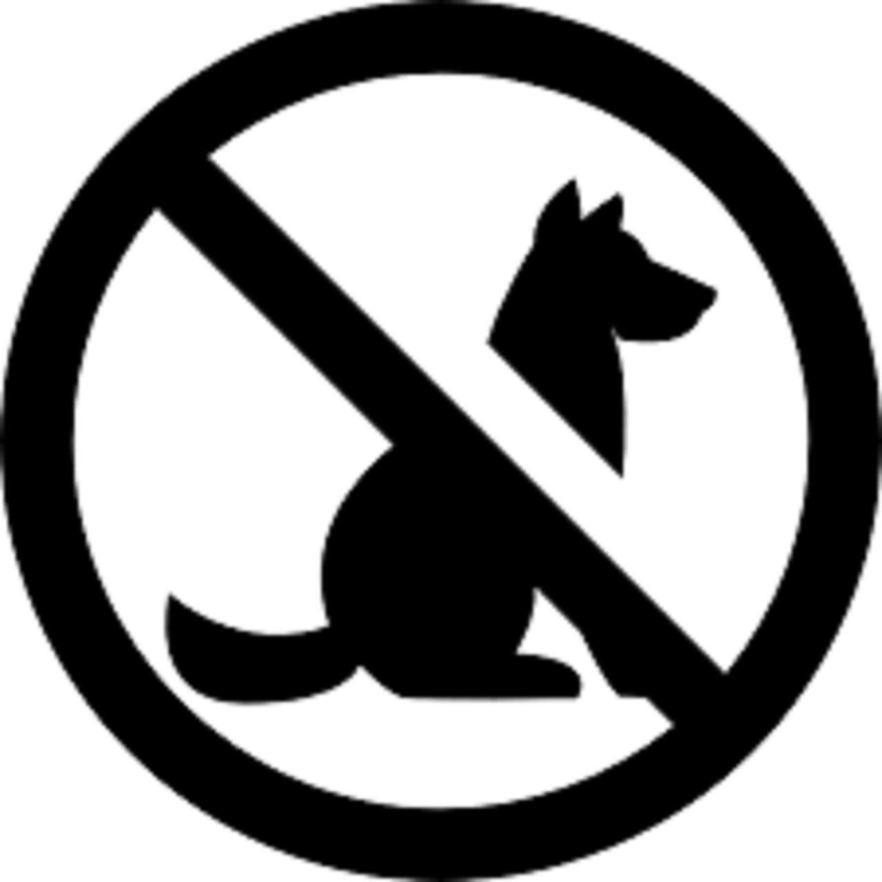Apartment without Balcony 519 no pets allowed,1588156303:JPEG